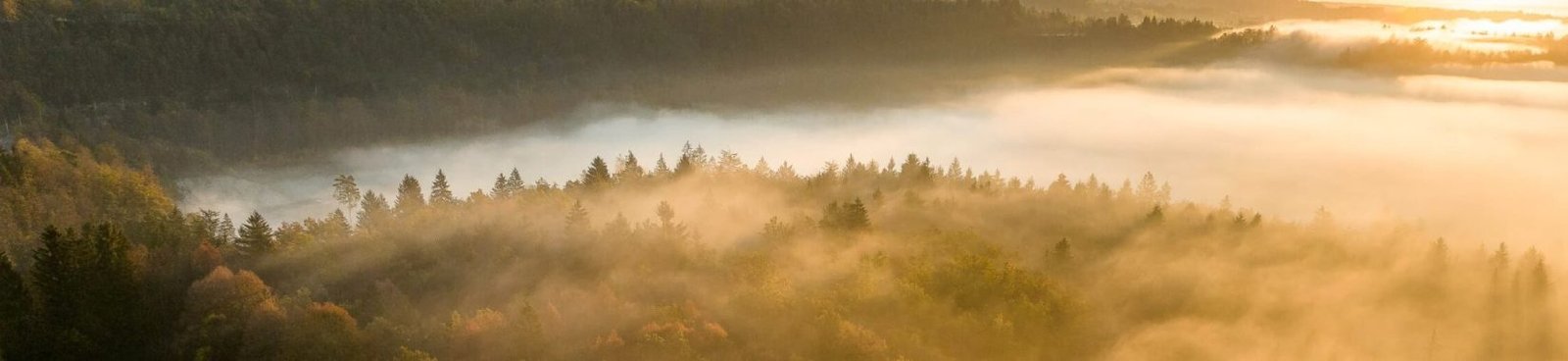 odb20251026 odb20251026