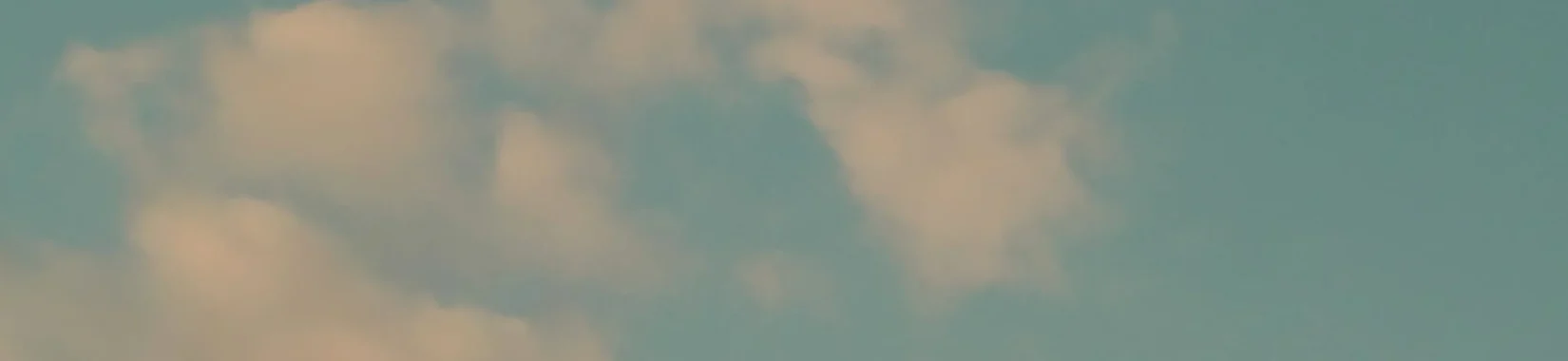 odbm20260913